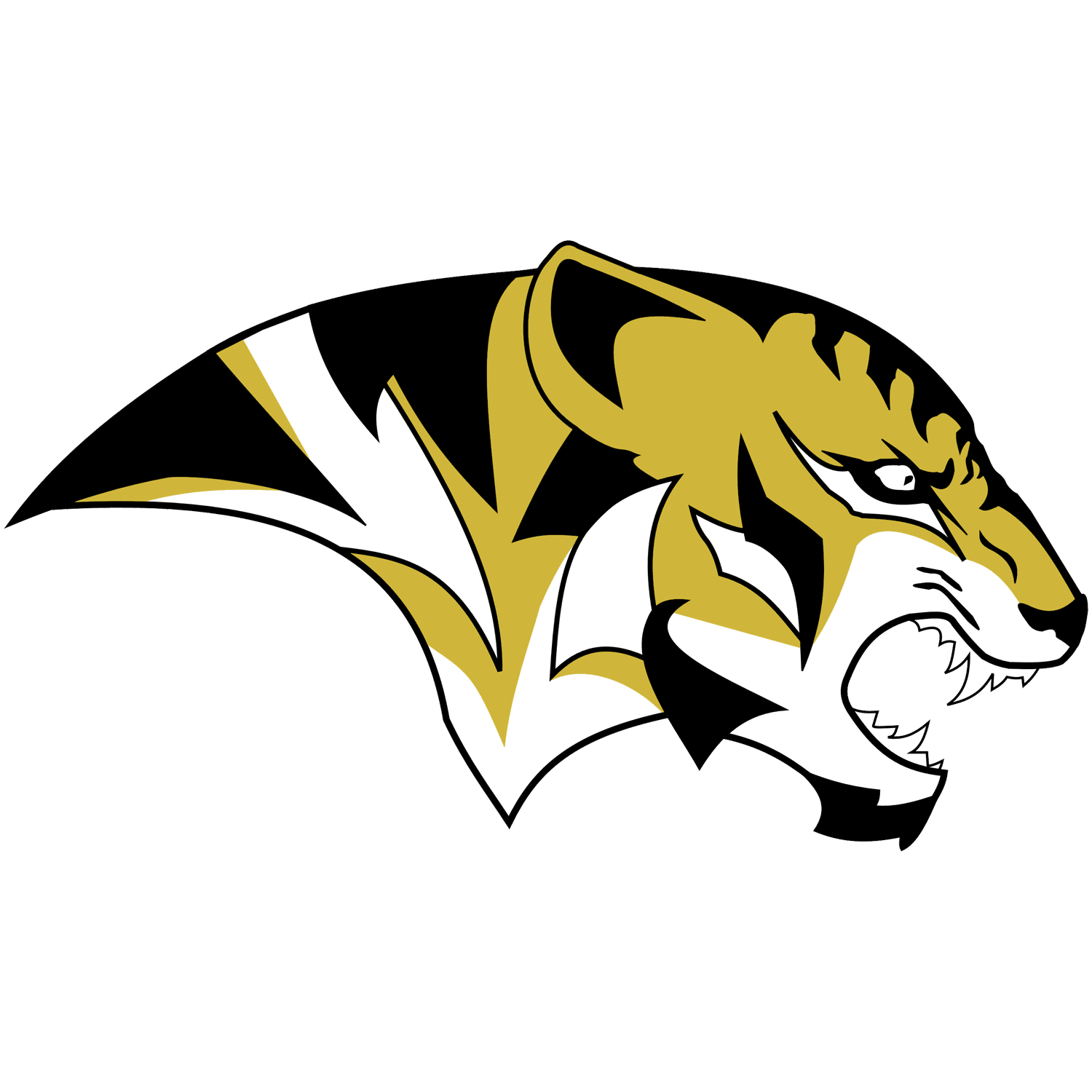 Scquare-Tigerhead