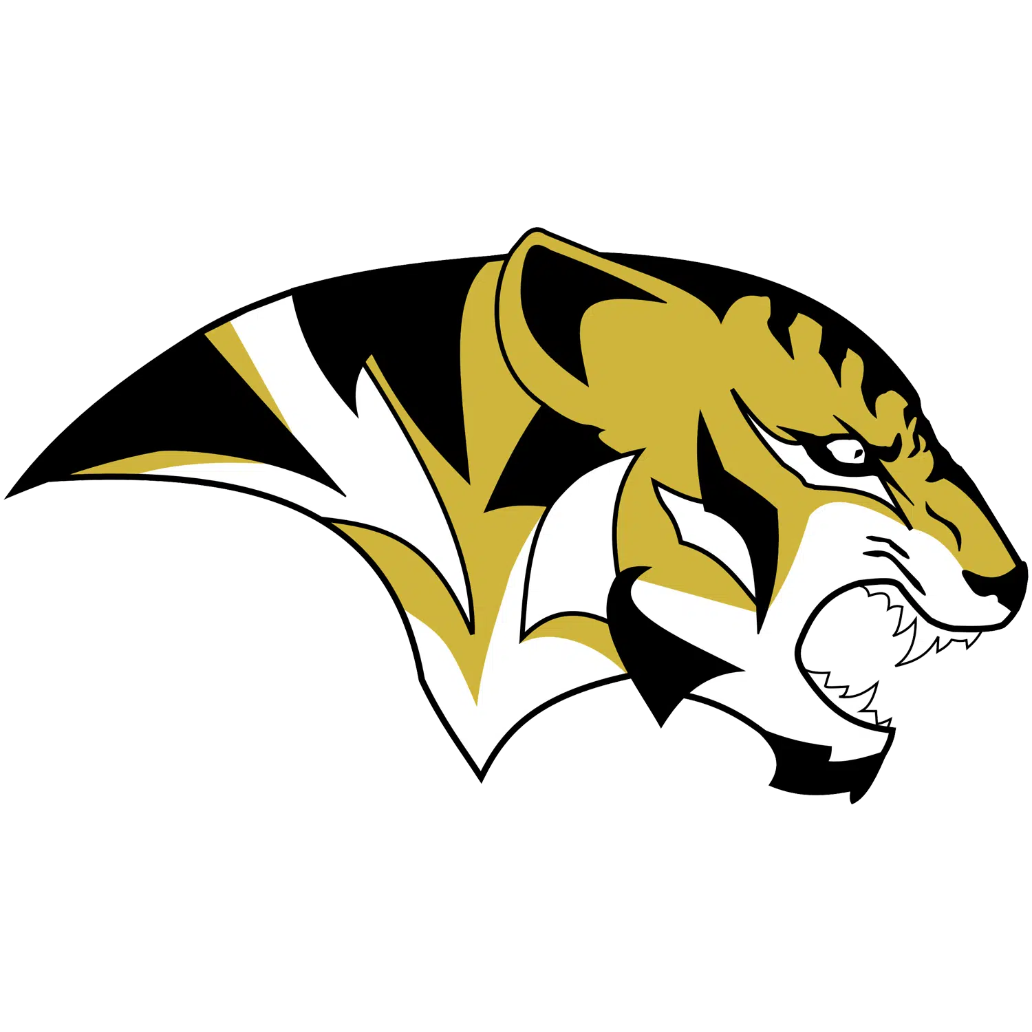 Scquare-Tigerhead