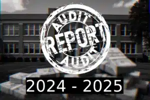 audit_report_2024-2025
