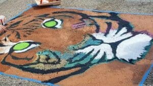 BHS Student Parking Spaces Available