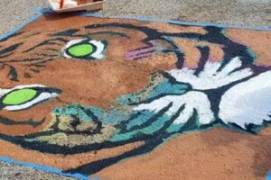 Tiger_Parking